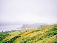 Зелені пагорби Туманний — стокове фото