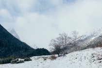 Прекрасный зимний пейзаж в Пиренеях — стоковое фото
