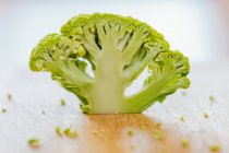 Chopped broccoli branch — Stock Photo
