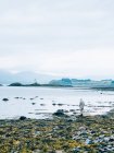 Uomo in piedi sulla riva rocciosa del lago — Foto stock