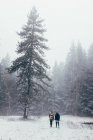 Two travelers walking in winter forest — Stock Photo