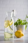 Sommergetränk mit Zitrone und Minze — Stockfoto
