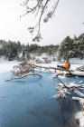 Viajera sentada en bosque de invierno - foto de stock