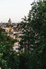Cityscape in trees — Stock Photo