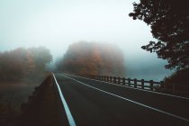 Route par temps brumeux — Photo de stock