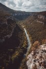 Живописный вид на каньон с деревьями — стоковое фото
