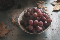 Фіолетовий виноград у мисці — стокове фото