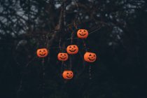 Halloween abóboras assustadoras penduradas na árvore . — Fotografia de Stock