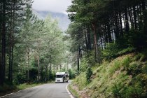 Грузовик едет по асфальтированной дороге через лес — стоковое фото