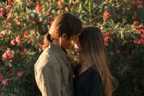 Portrait of couple embracing face to face at park on suset — Stock Photo