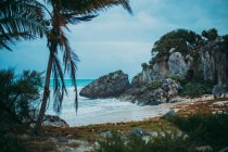 Paesaggio tropicale di costa sabbiosa con scogliere e palme — Foto stock