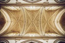 Inquadratura completa di ornamento ornato del soffitto della cattedrale — Foto stock