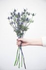 Female hand holding bunch of fresh wildflowers on white background — Stock Photo