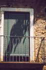 Albero ombra su persiane finestre chiuse — Foto stock
