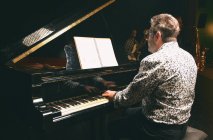 Вид ззаду чоловіка, який грає на піаніно з людьми, які грають на інших інструментах на фоні — стокове фото