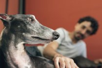 Людина з собакою на тренера в домашніх умовах — стокове фото
