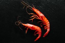 Directly above view of fresh prawns on black stone background. — Stock Photo