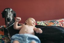 Nouveau-né allongé sur chien à la maison — Photo de stock