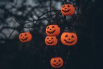 Halloween abóboras assustadoras penduradas em galhos de árvore — Fotografia de Stock