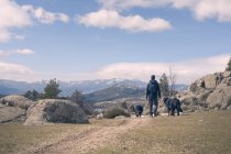 Rear view of man walking down mountain with dogs in — Stock Photo