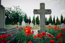 Cemitério com cruzes no fundo — Fotografia de Stock