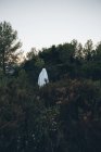 Вид сзади бродячих призраков в сельской местности — стоковое фото