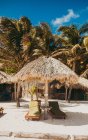 Сонячні ліжка і солом'яні парасольки в лаунж-зоні на тропічному пляжі з долонями . — стокове фото