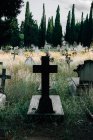 Cemitério com cruzes no fundo — Fotografia de Stock
