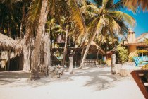 Resort buildings and palms on white sandy beach in tropics. — Stock Photo