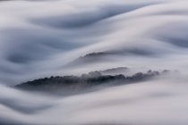 Niebla que cubre colinas - foto de stock