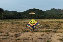 Front view of person hiding behind big colorful kite with smiling face at countryside field over green mountains on background. — Stock Photo