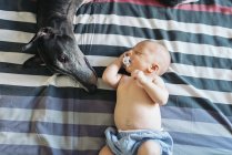 Bebê recém-nascido dormir ao lado cão — Fotografia de Stock