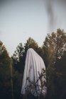 Frightening ghost standing alone in forest. — Stock Photo