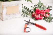 Bouquet de roses rouges clair fraîches coupées et ciseaux de jardin — Photo de stock