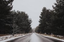 Порожній зимових асфальтована дорога на Похмурий день — стокове фото