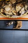 Vista de ángulo alto de dos gatos acostados en el suelo de baldosas debajo del mostrador en la tienda . - foto de stock