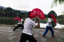 MALAYSIA- April 6, 2016: Rear view of men in casual clothing training with fighting fans near lake — Stock Photo
