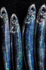 Close up of fresh anchovies on black stone background. — Stock Photo