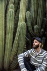 Portrait of bearded man in cap sitting near huge thorny cacti and looking away. — Stock Photo