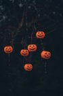 Halloween scary pumpkins hanging on bare tree — Stock Photo
