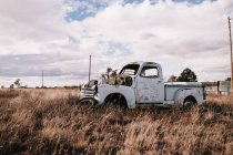Caminhão abandonado velho no campo seco no dia nublado — Fotografia de Stock
