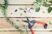 Tesoura de jardim na mesa de madeira com flores e folhas de corte fresco — Fotografia de Stock