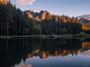 Bosque reflejando en lago - foto de stock