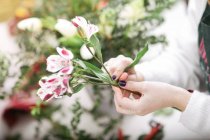 Close-up of female hands making bouquet — Stock Photo