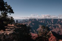 Vue lointaine de l'homme debout à la falaise contre le paysage du canyon — Photo de stock