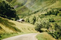 Rural road amid rolling green hills — Stock Photo