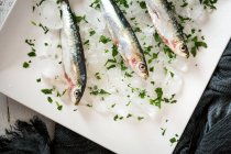 From above three anchovies on ice with parsley in plate — Stock Photo