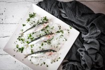 Directly above arrangement of fresh anchovy on ice in ceramic plate — Stock Photo