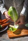 Close up view of female hands tearing napa cabbage leaves over wooden board on table — Stock Photo