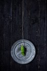 Green bell pepper hanging on string — Stock Photo